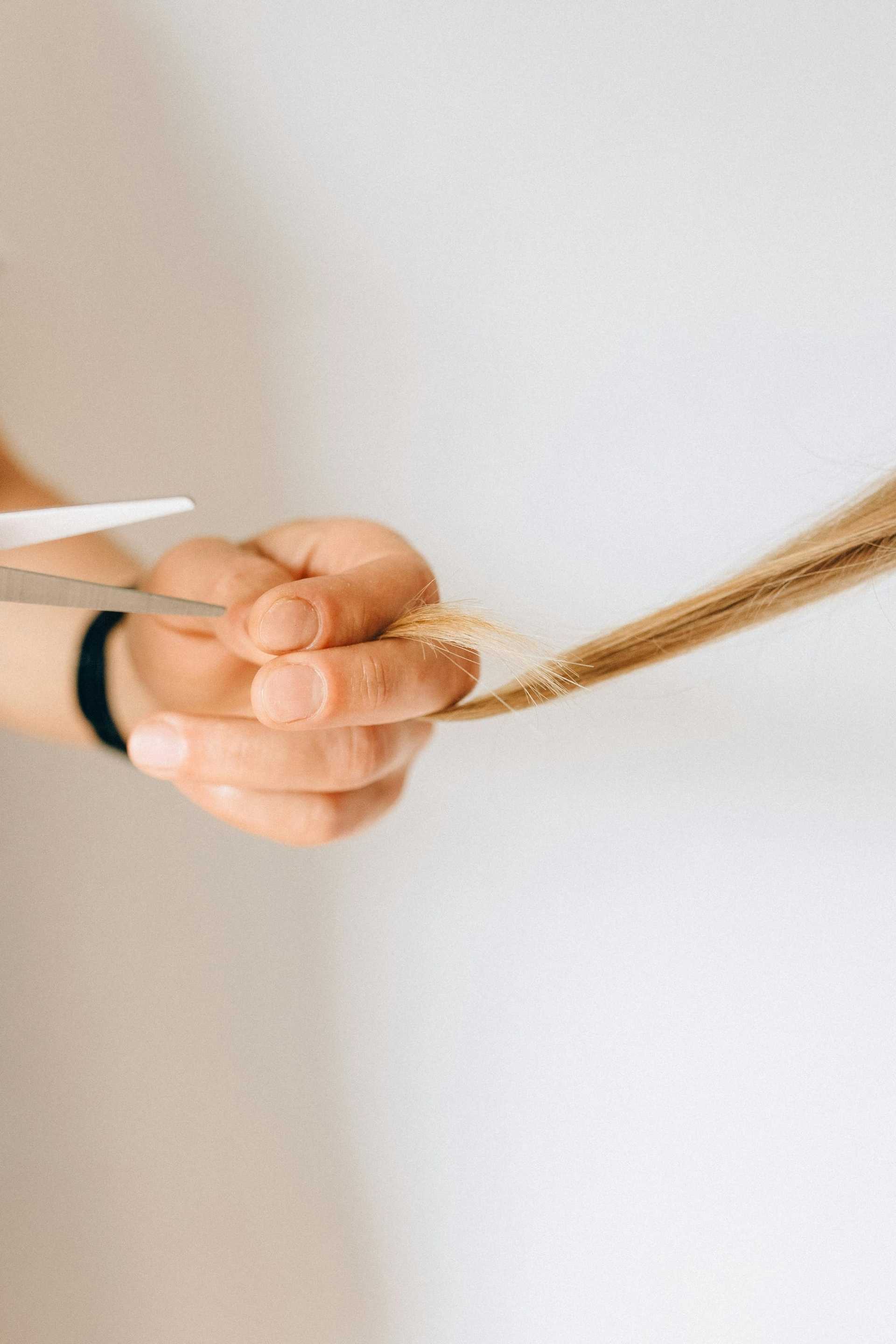 Hair being trimmed with scissors in a close-up shot.