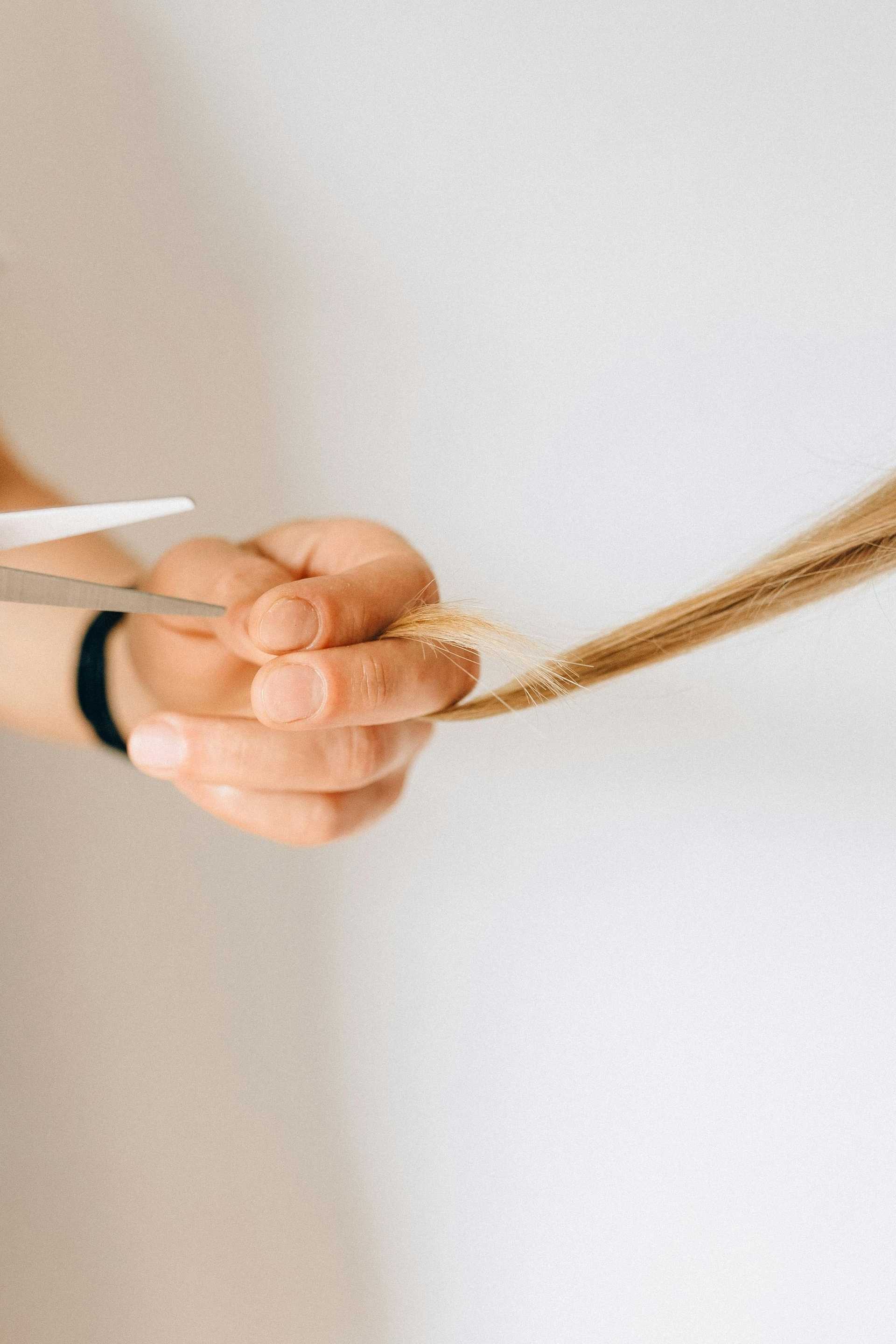 Hair being trimmed with scissors in a close-up shot.